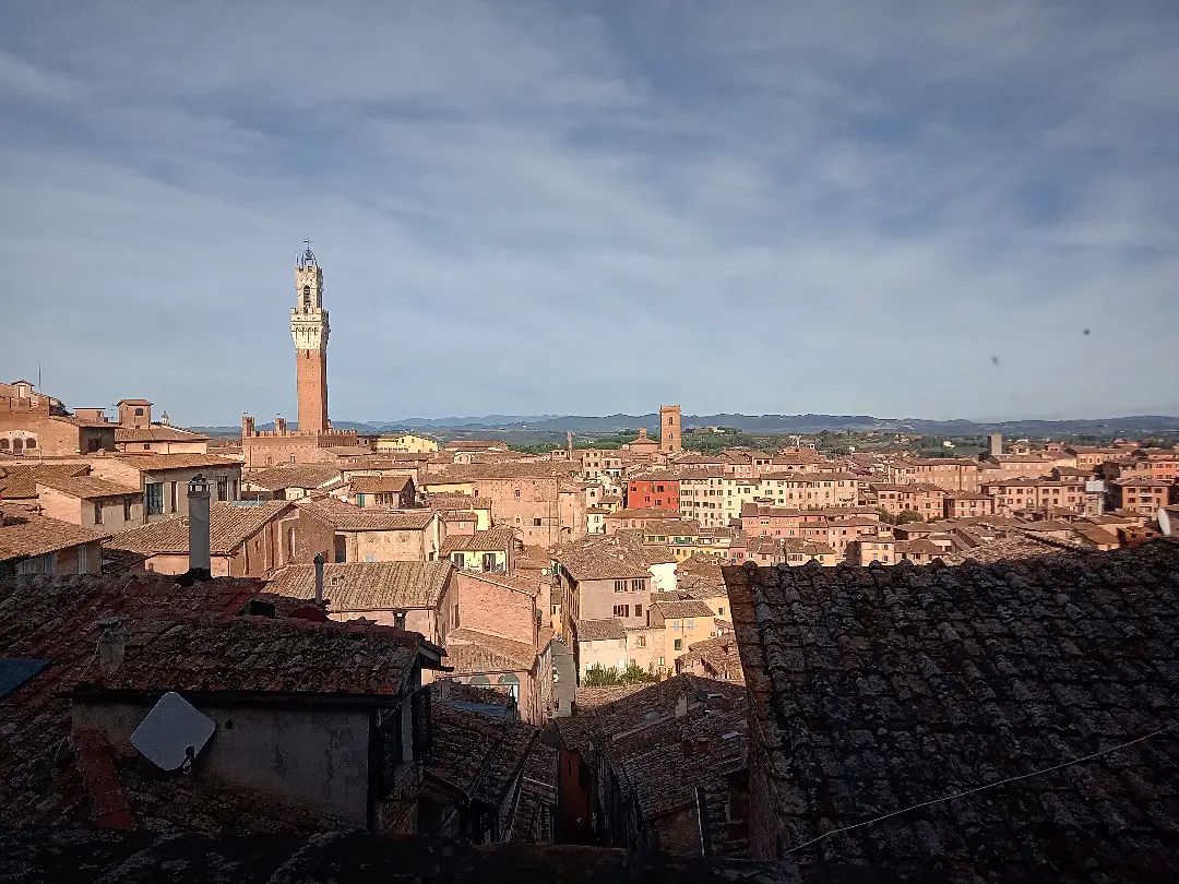 Tra le tante meraviglie della Pinacoteca: #Siena 
#demetratour #tuscanygram